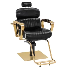 Luxurious Barber Chair Metal Hydraulic Recline Beauty Spa Styling Chair