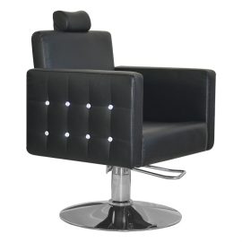 Hot Sale Cheap Styling Chair For Salon Furniture