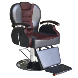 PROFESSIONAL BARBER CHAIRS