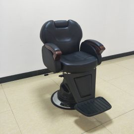 PROFESSIONAL BARBER CHAIRS