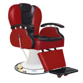 PROFESSIONAL BARBER CHAIRS