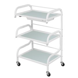 Beauty Salon Spa Trolley Cabinet Station with 3 Storage Trays