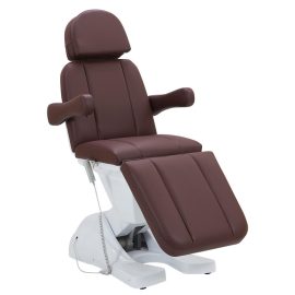 Beauty Salon High Quality Cosmetic Massage Chair Spa Treatment Bed