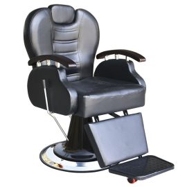 PROFESSIONAL BARBER CHAIRS