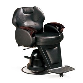 PROFESSIONAL BARBER CHAIRS